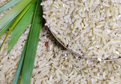 Buy Indrayni Rice (Unpolished)